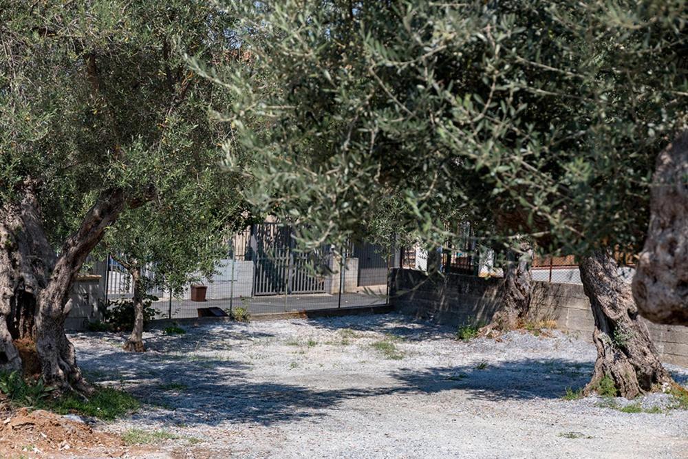 B&B Il Feudo Cirella Extérieur photo